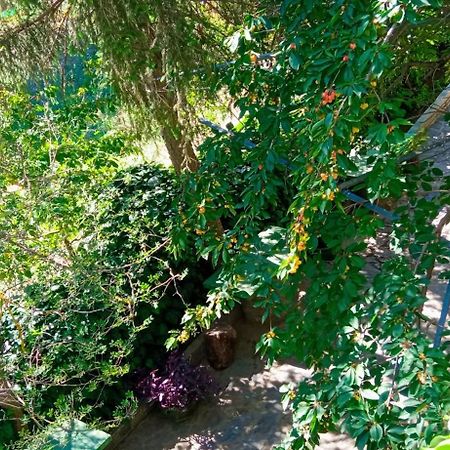 Lassithi Plateau Traditional Suite Agios Georgios  Ngoại thất bức ảnh